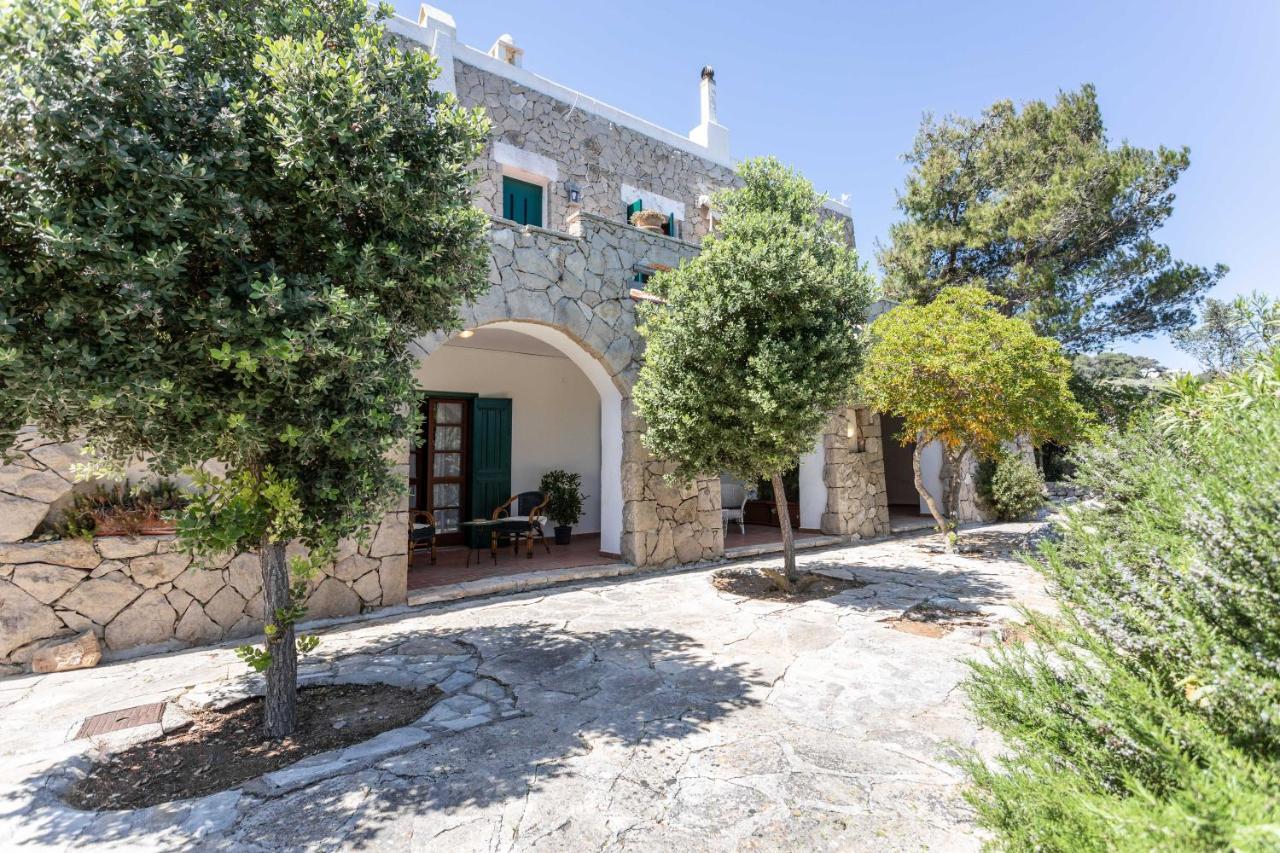 Bed and Breakfast Il Posto Delle Fragole Castro  Exterior foto